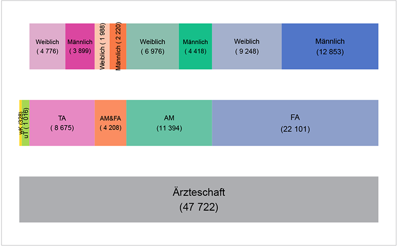 Grafik 01: Strukturdiagramm Ärzteschaft