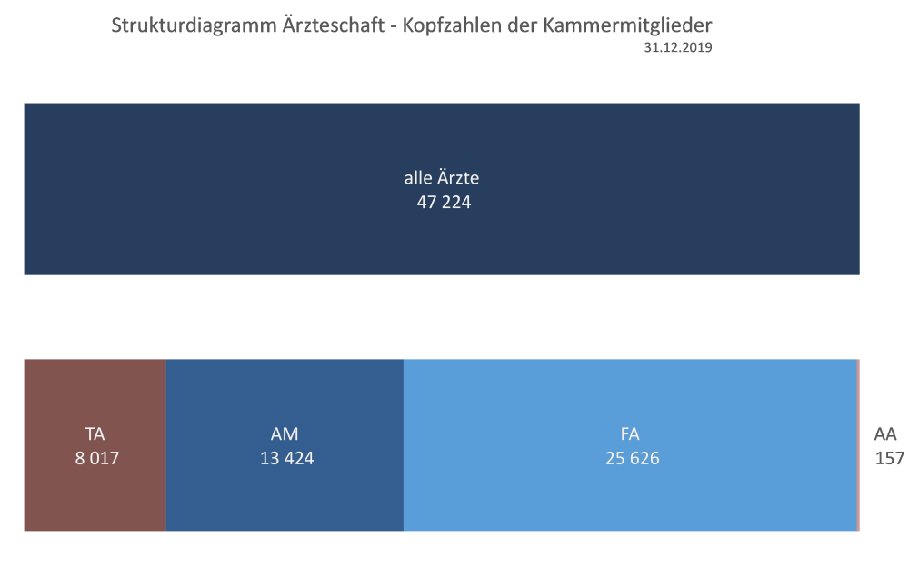 Strukturdiagramm Ärzteschaft: Kopfzahlen der Kammermitglieder 2019
