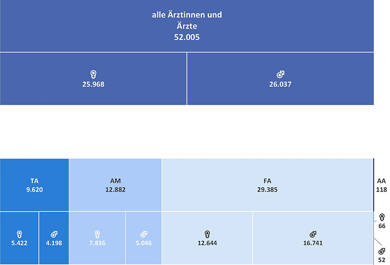 Grafik 04: Strukturdiagramm Ärzteschaft - Kopfzahlen der Kammermitglieder - Ärztinnen und Ärzte
