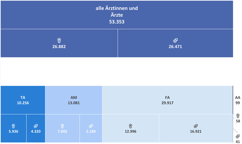 Grafik 04: Strukturdiagramm Ärzteschaft - Kopfzahlen der Kammermitglieder - Ärztinnen und Ärzte